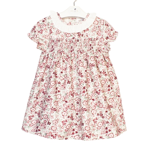 charlotte dress fall print