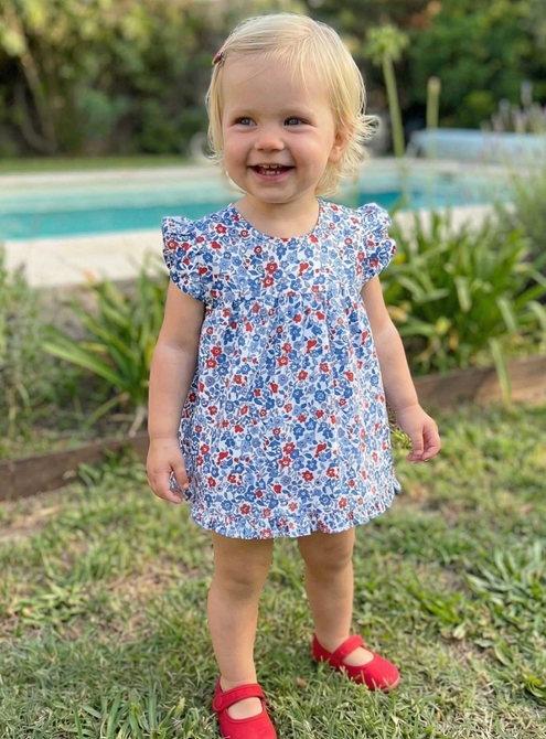 Clara dress. blue and red pattern