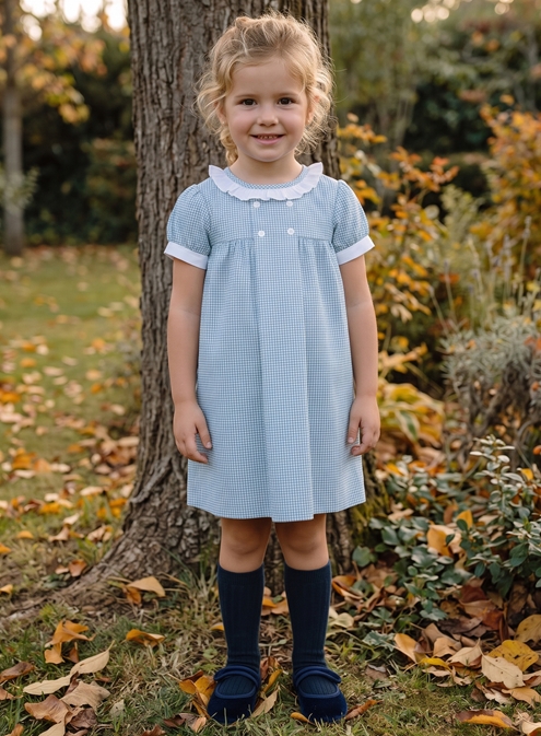 paola dress blue plaid