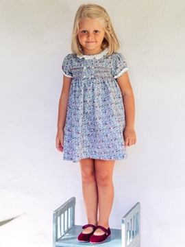 ines dress blue burgundy