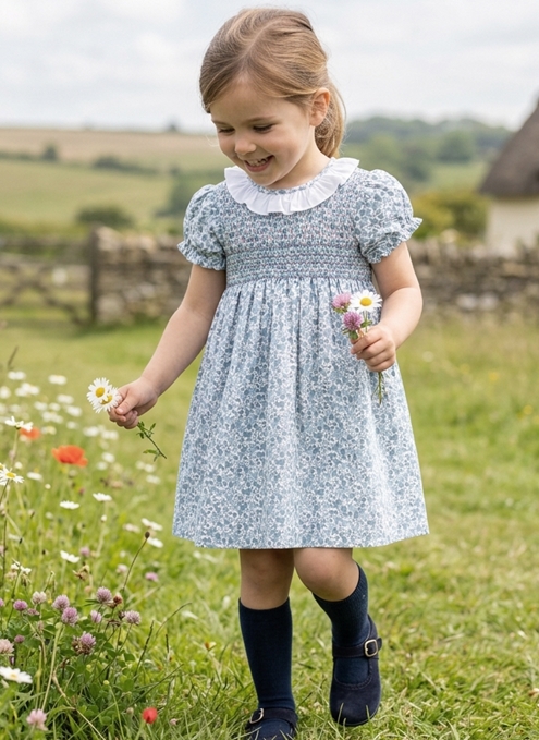 vestido paris estampado azul