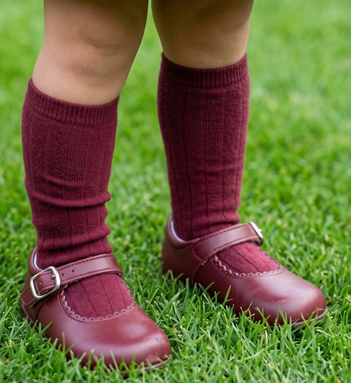 burgundy leather shoes